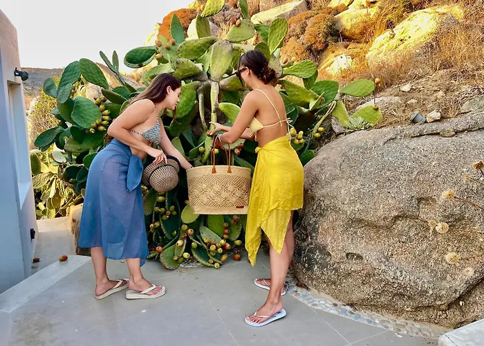 Vanita Agios Ioannis Mykonos 别墅